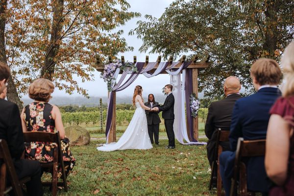 Seen from among the guests, the ceremony unfolds at the edge of the vineyard.