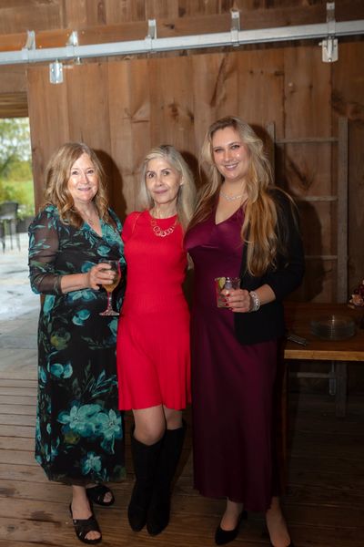 Three women in jewel-toned dresses pose together.